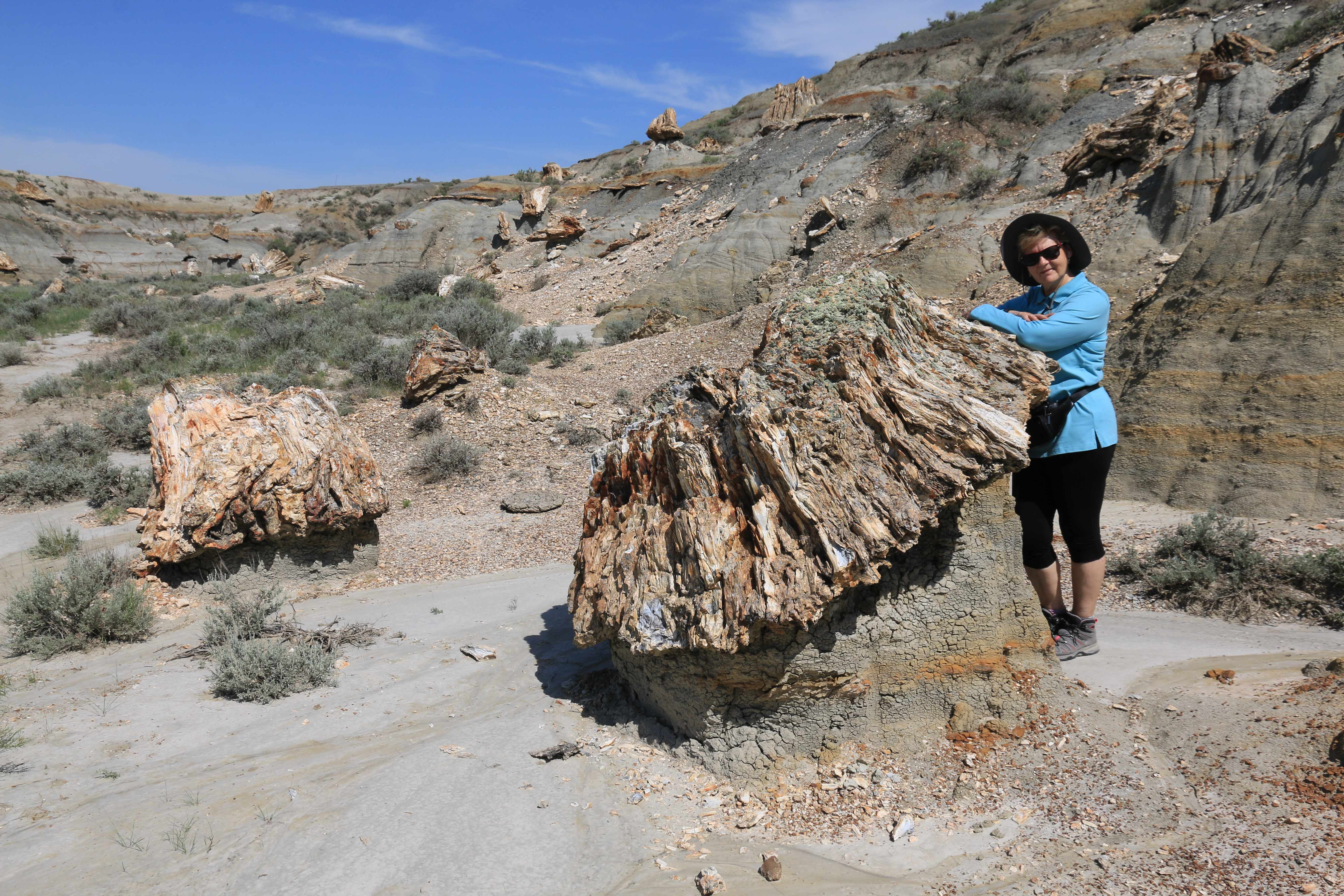 Theodore Roosevelt NP
